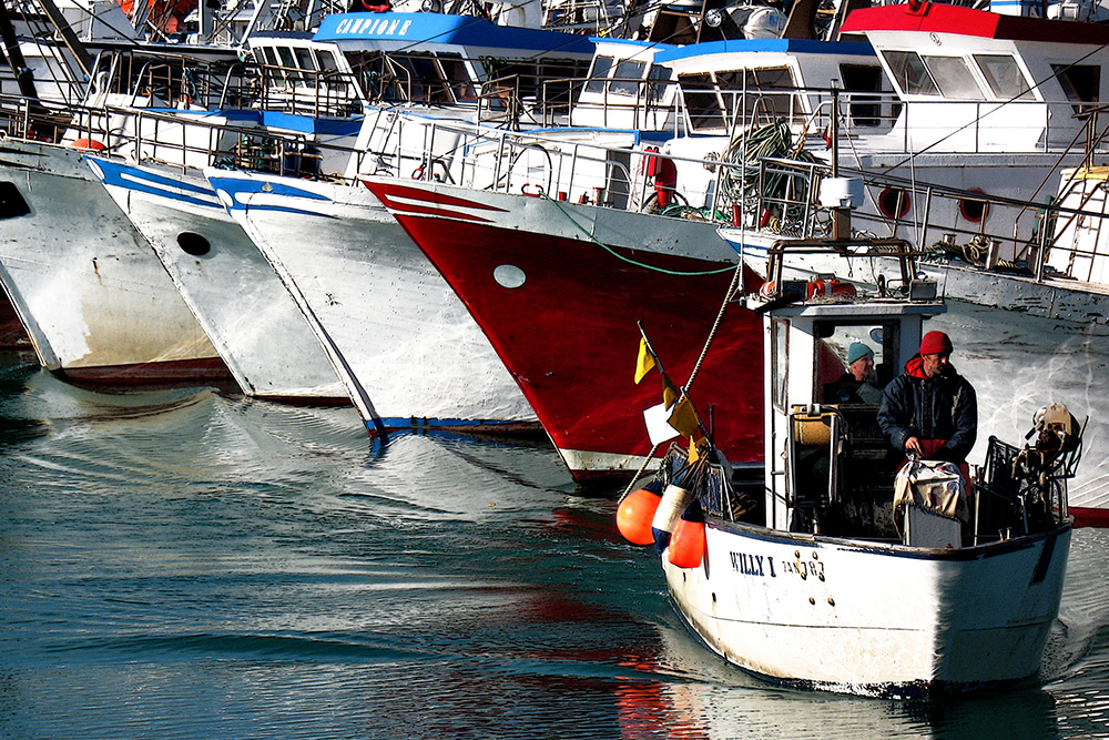 the harbour of Civitanova Marche: fisherman boats