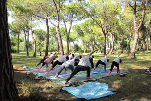 Yoga under the pine trees